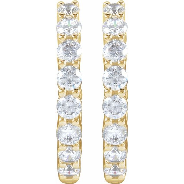 14K Yellow 2 CTW Natural Diamond Inside-Outside Hinged 20 mm Hoop Earrings - B